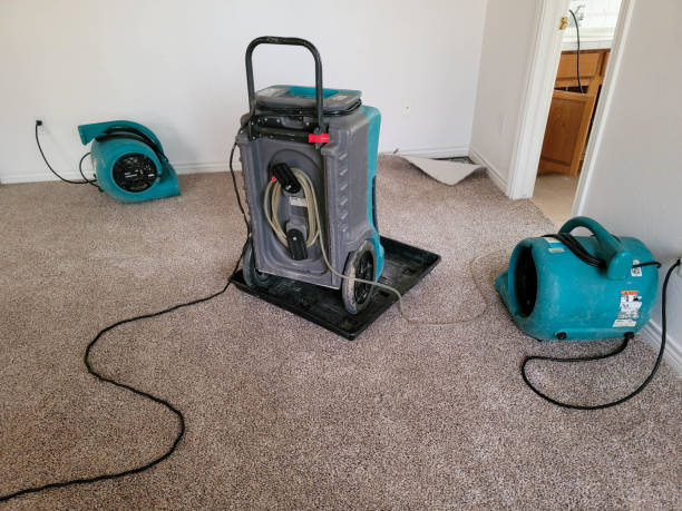 Best Flooded house restoration  in Carrollton, GA
