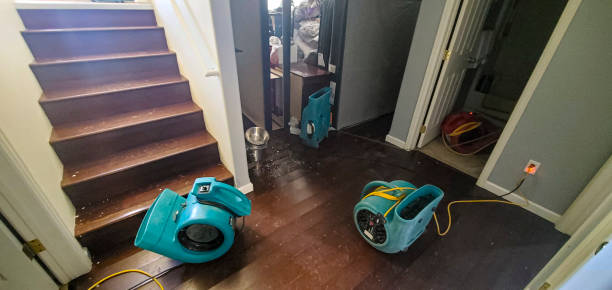 Best Sewage cleanup and water damage restoration  in Carrollton, GA