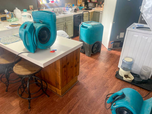 Best Professional water damage repair  in Carrollton, GA