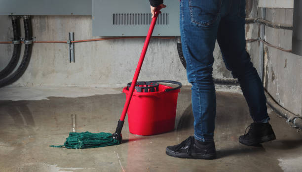 Best Local water damage restoration  in Carrollton, GA