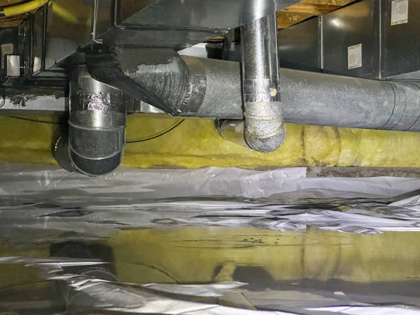 Best Sewage cleanup and water damage restoration  in Carrollton, GA