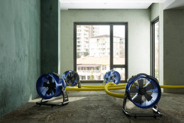 Best Residential water damage restoration  in Carrollton, GA