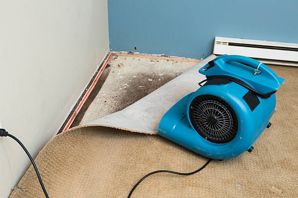 Best Water damage restoration company  in Carrollton, GA